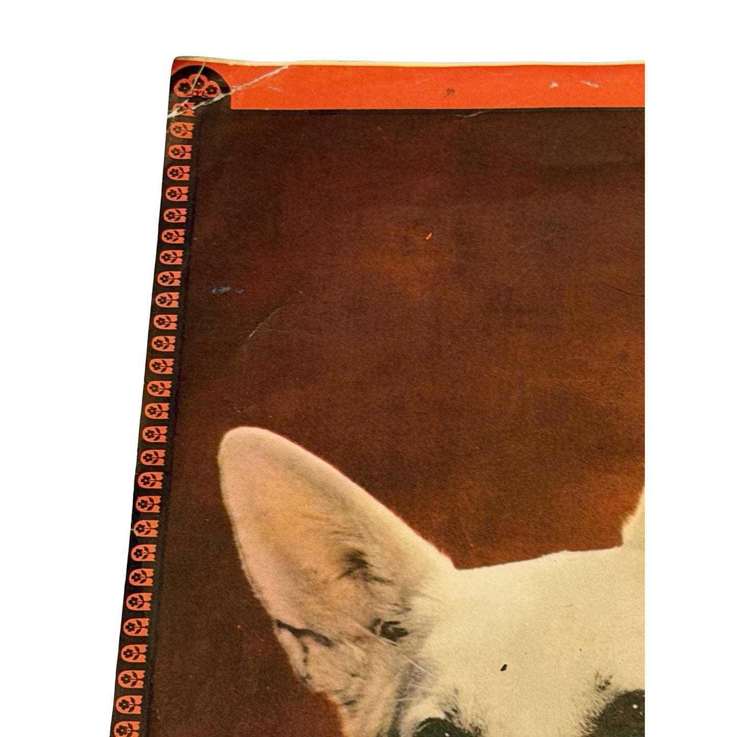 Vintage 1955 Ladies' Home Journal Cover Poster "Two Beauties" with White Dog Plus Doris Day Lustre-Creme Ad Print Set