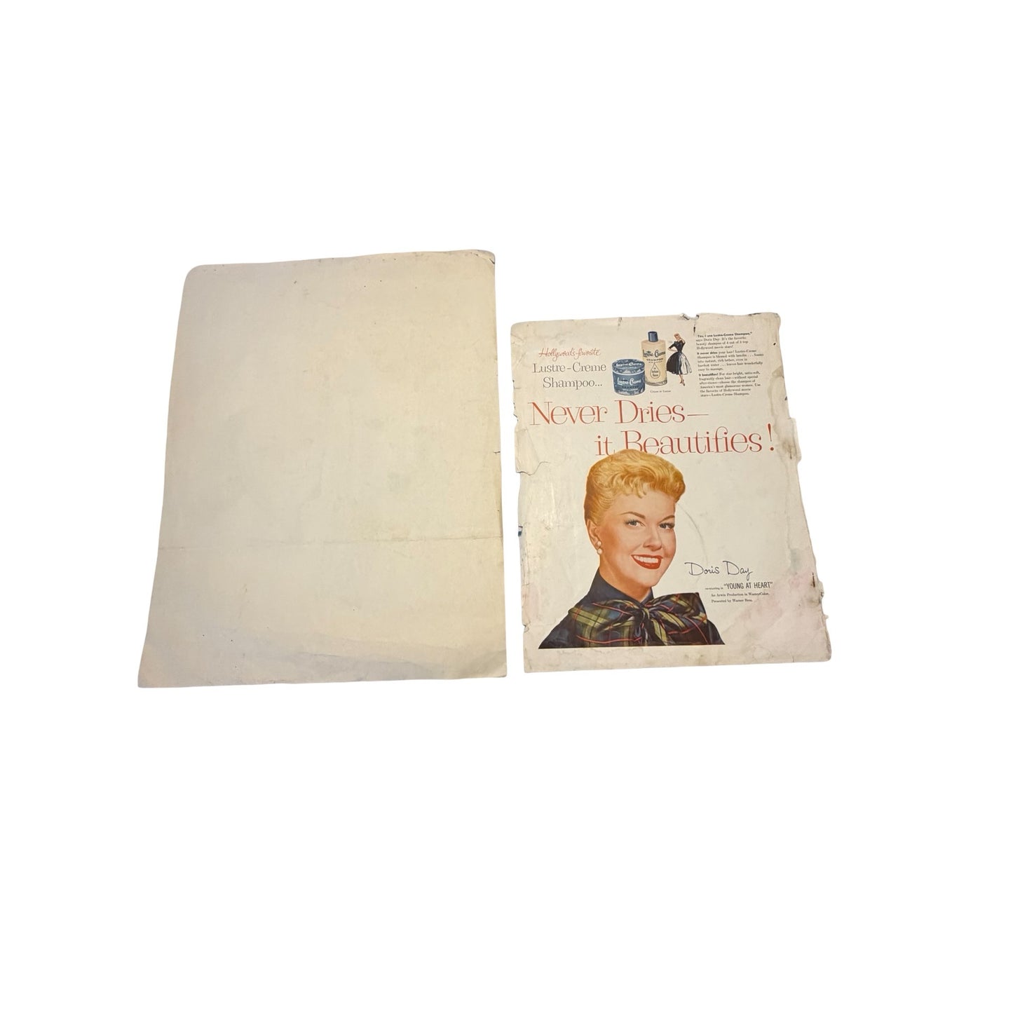 Vintage 1955 Ladies' Home Journal Cover Poster "Two Beauties" with White Dog Plus Doris Day Lustre-Creme Ad Print Set
