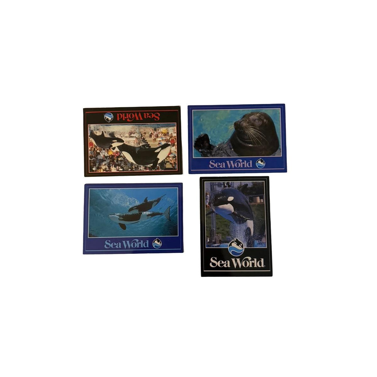 Vintage SeaWorld Postcard Lot of 4 Shamu Orca Sea Lion 1988 1989