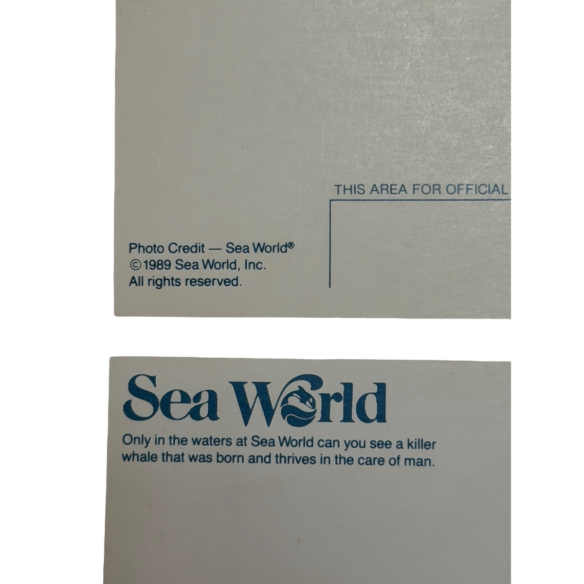 Vintage SeaWorld Postcard Lot of 4 Shamu Orca Sea Lion 1988 1989