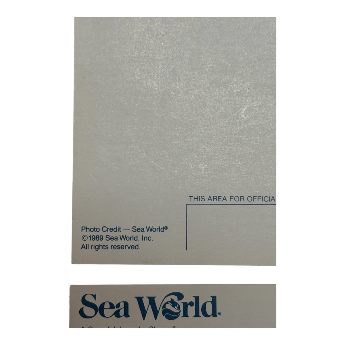 Vintage SeaWorld Postcard Lot of 4 Shamu Orca Sea Lion 1988 1989