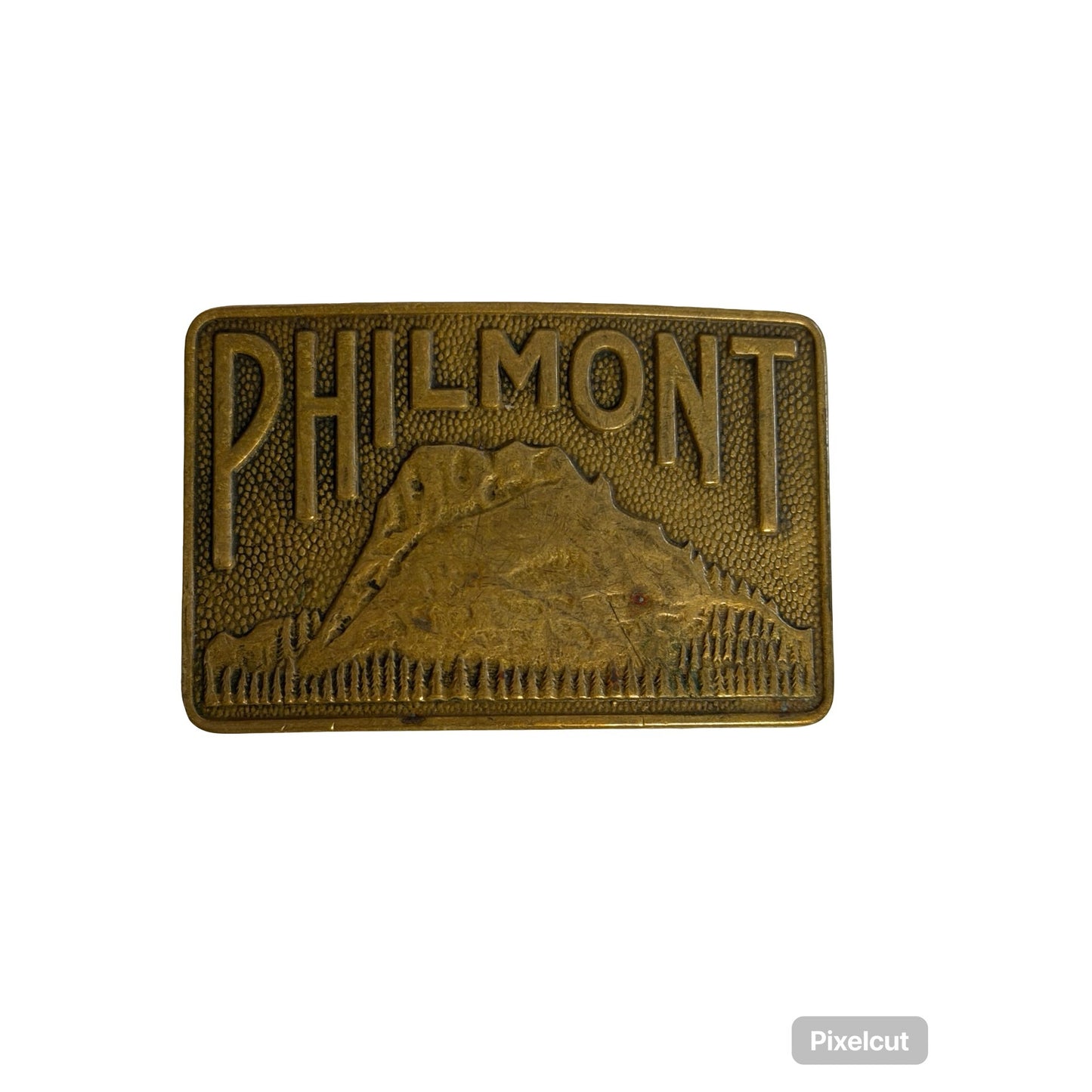 Vintage Philmont Belt Buckle Brass Tone Mountain Scenery Scout Ranch 3x2