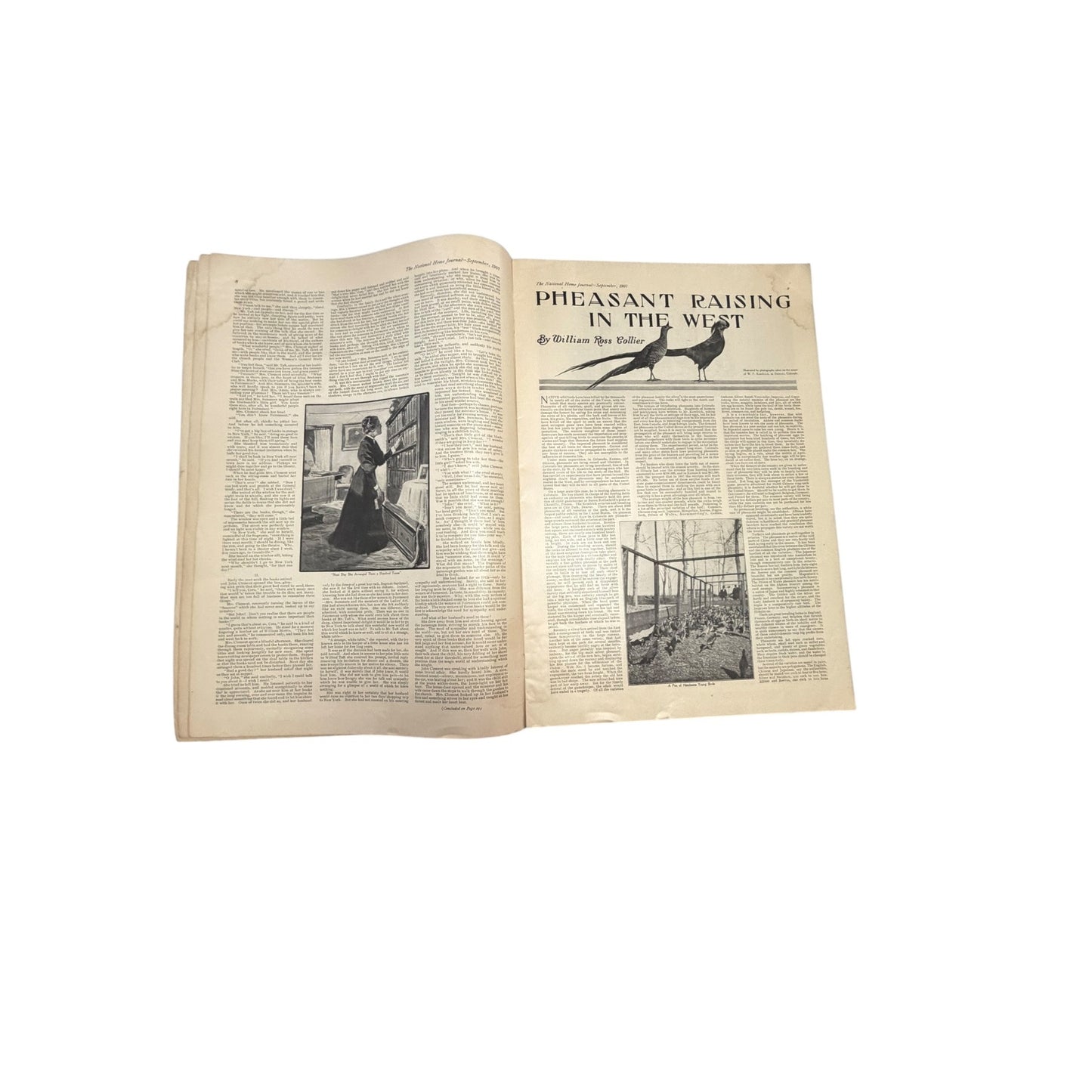 The National Home Journal September 1907 Magazine Thomas Edison Phonograph Ads Fashion