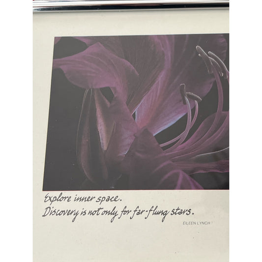 1980 James H. Carmichael Jr. Orchid Photography Print – The Freelance Collection Miniatures