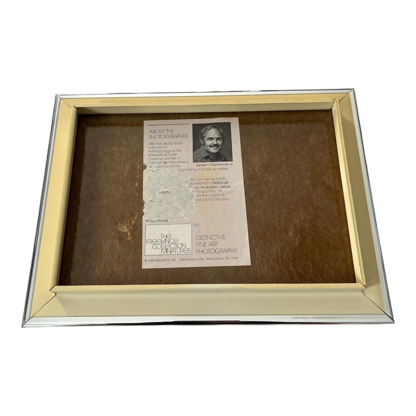 1980 James H. Carmichael Jr. Orchid Photography Print – The Freelance Collection Miniatures