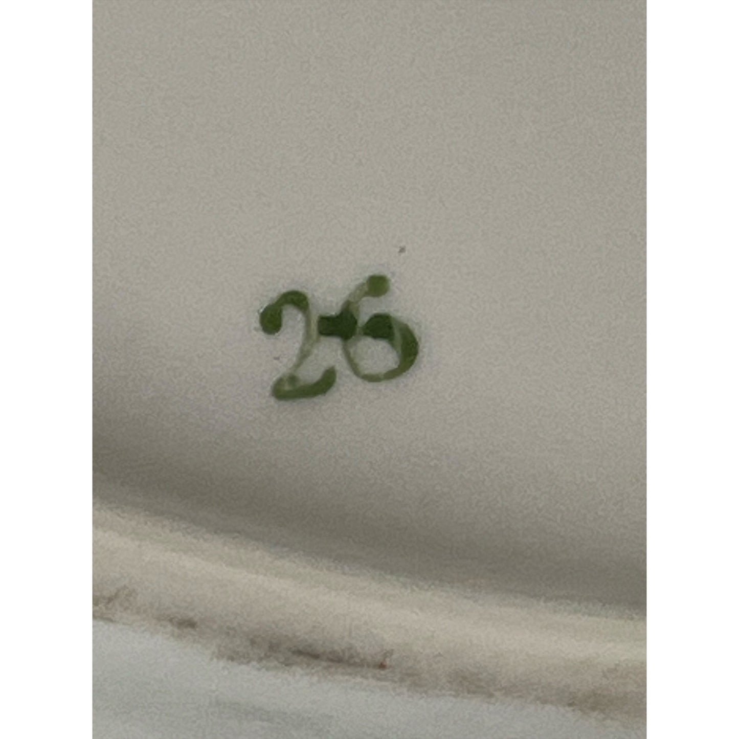 Vintage Korona Poland Floral Oval Serving Platter Gold Trim