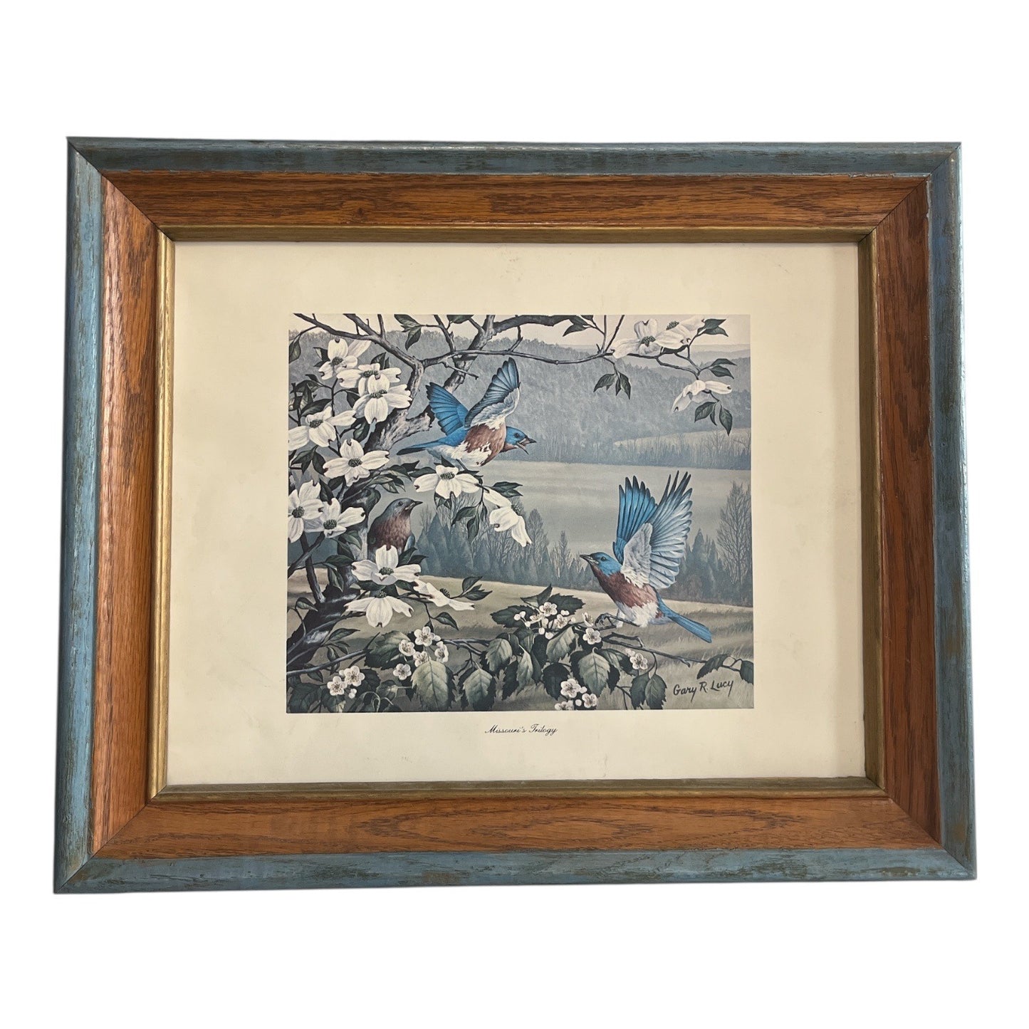 Vintage Gary R. Lucy Missouri’s Trilogy Framed Bird Print Rustic Wood Frame Wall Art 17x14