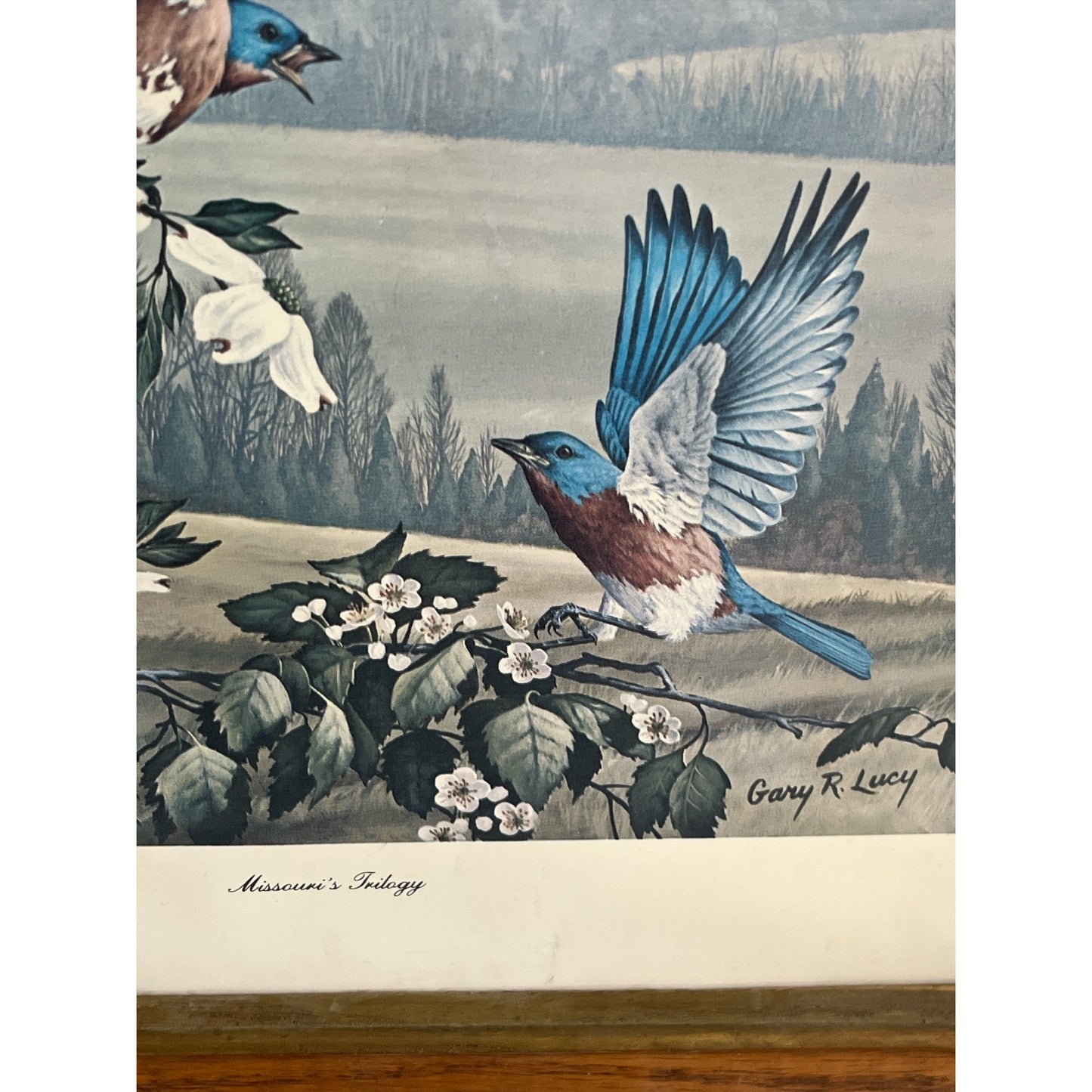 Vintage Gary R. Lucy Missouri’s Trilogy Framed Bird Print Rustic Wood Frame Wall Art 17x14