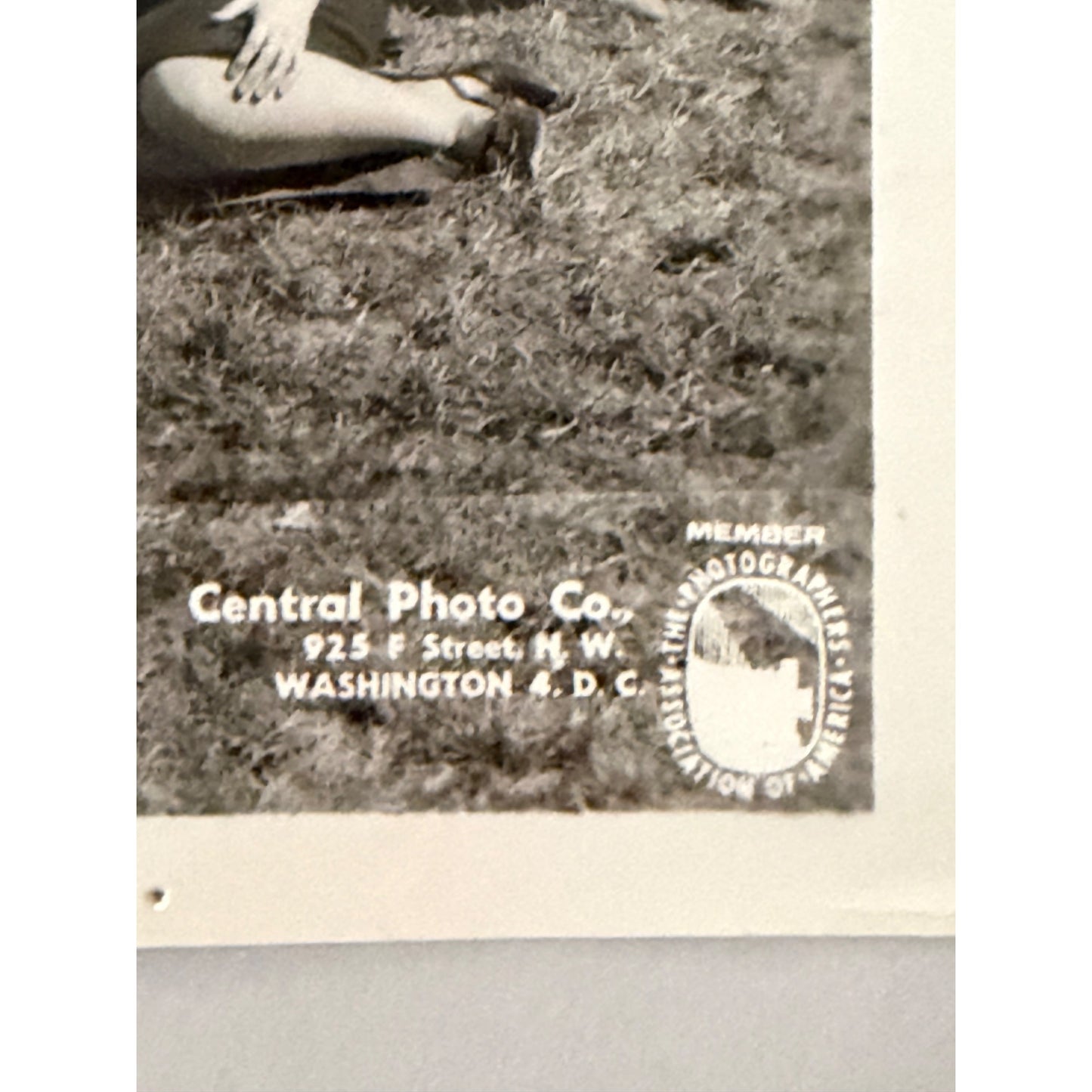 1963 North High School Washington DC Tour Panoramic Photo U.S. Capitol Americana Tours