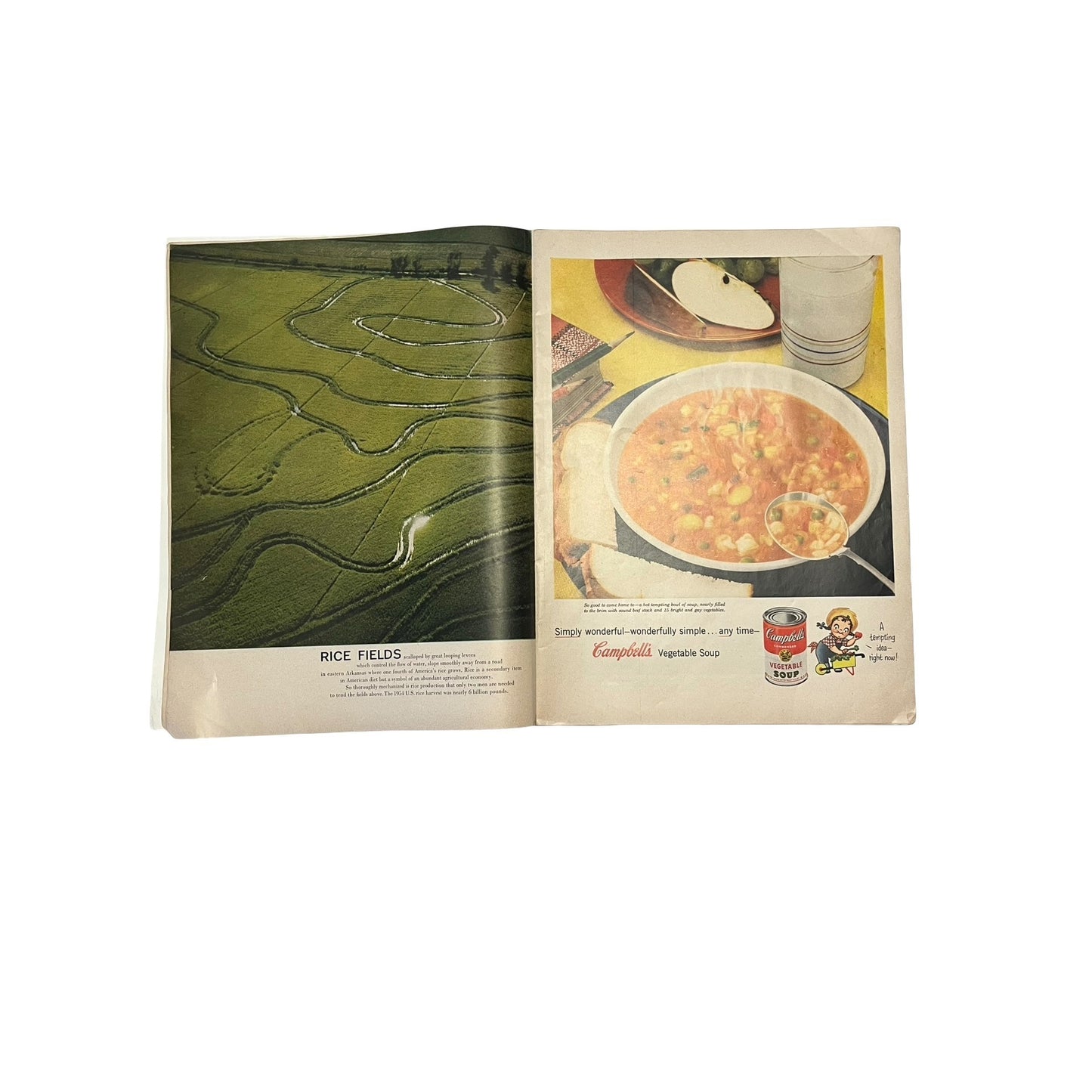 Vintage LIFE Magazine Lot 1955 Food Issue 1965 Ads Coca Cola Campbell Soup Whiskey Mid Century