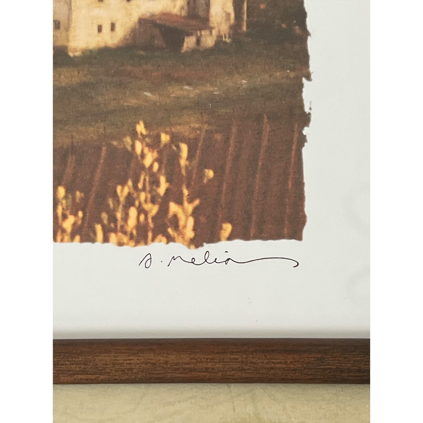 Framed “Campagna II” Art Print by S. Melin – Rustic Countryside Landscape – 20.5” Wall Art