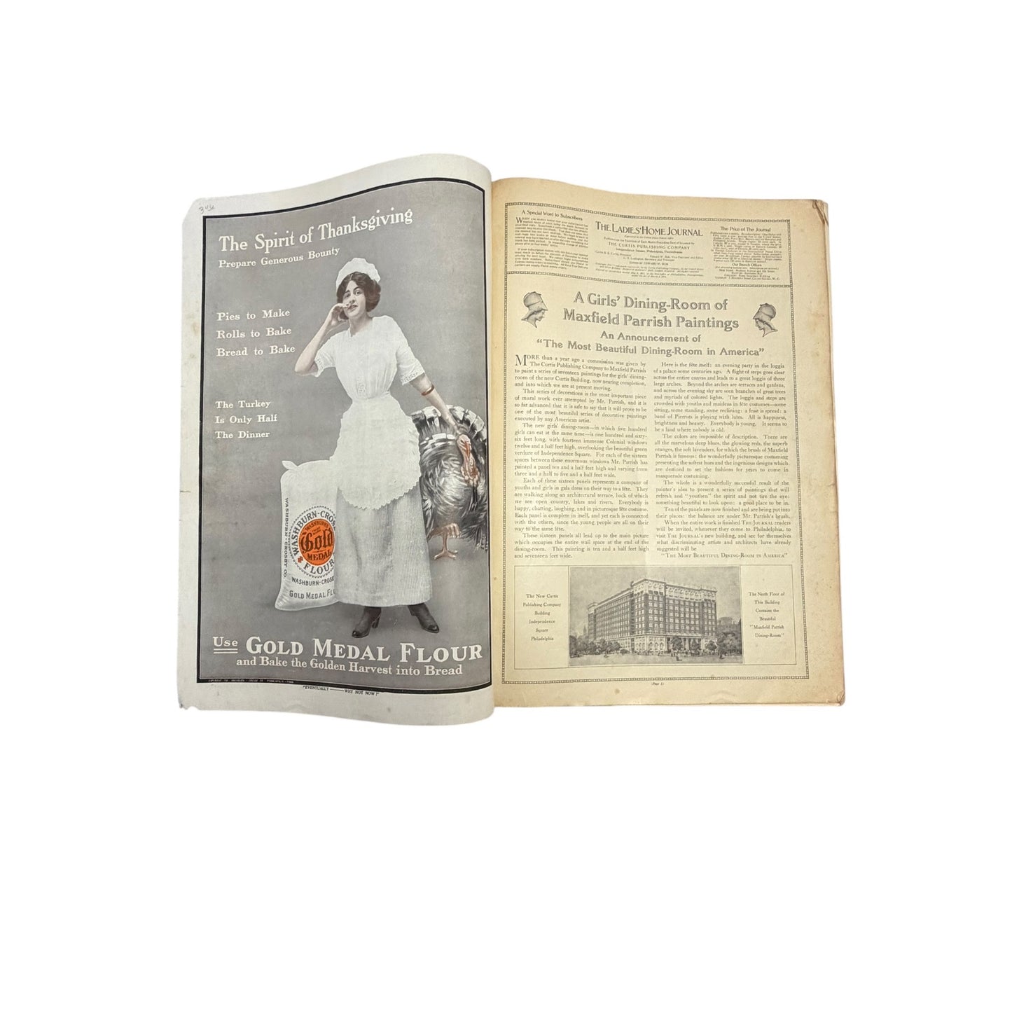 The Ladies' Home Journal November 1911 Magazine C. Coles Phillips Cover Antique Fashion Ads