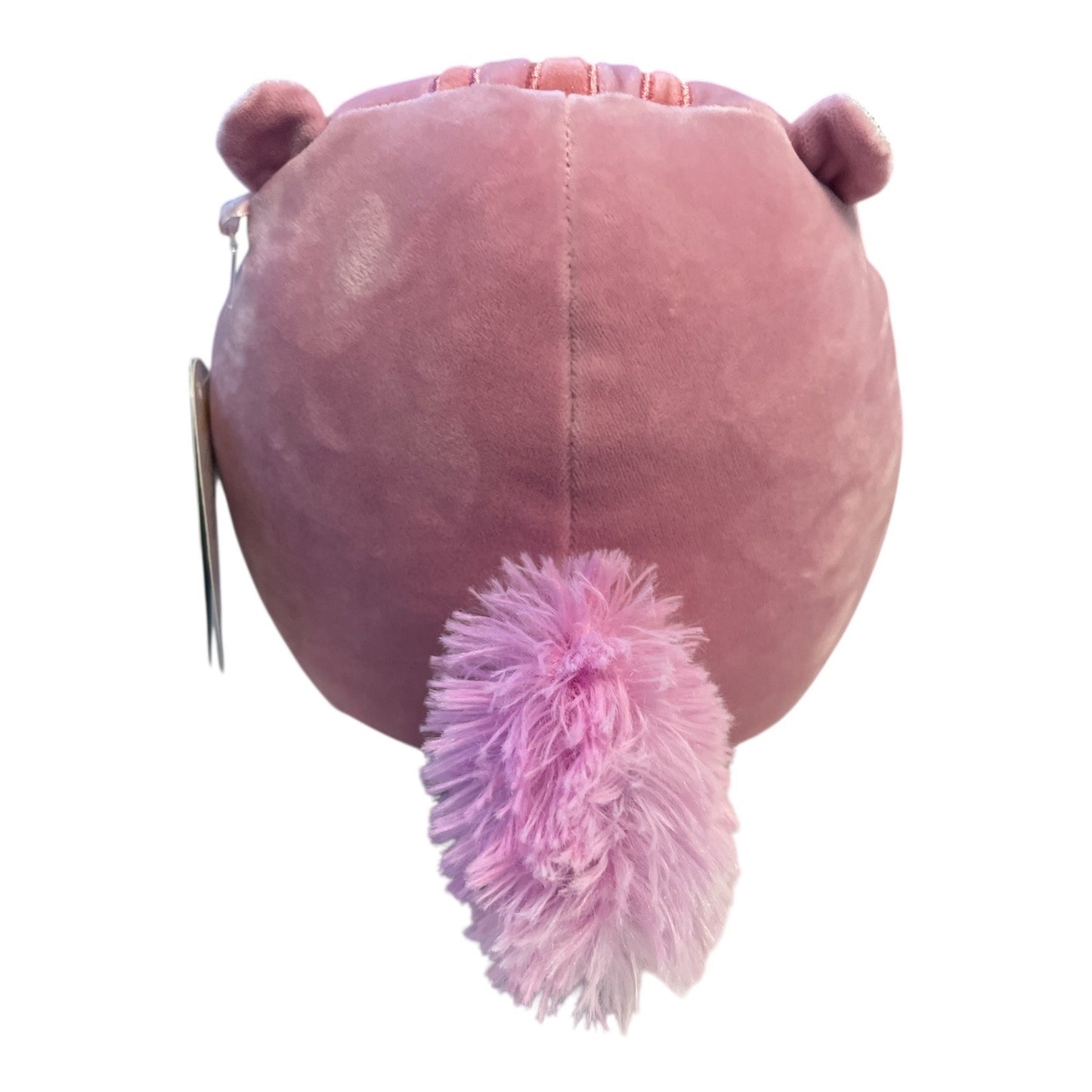 Squishmallows Allina Pink Squirrel Plush NWT Kellytoy Soft Stuffed Animal