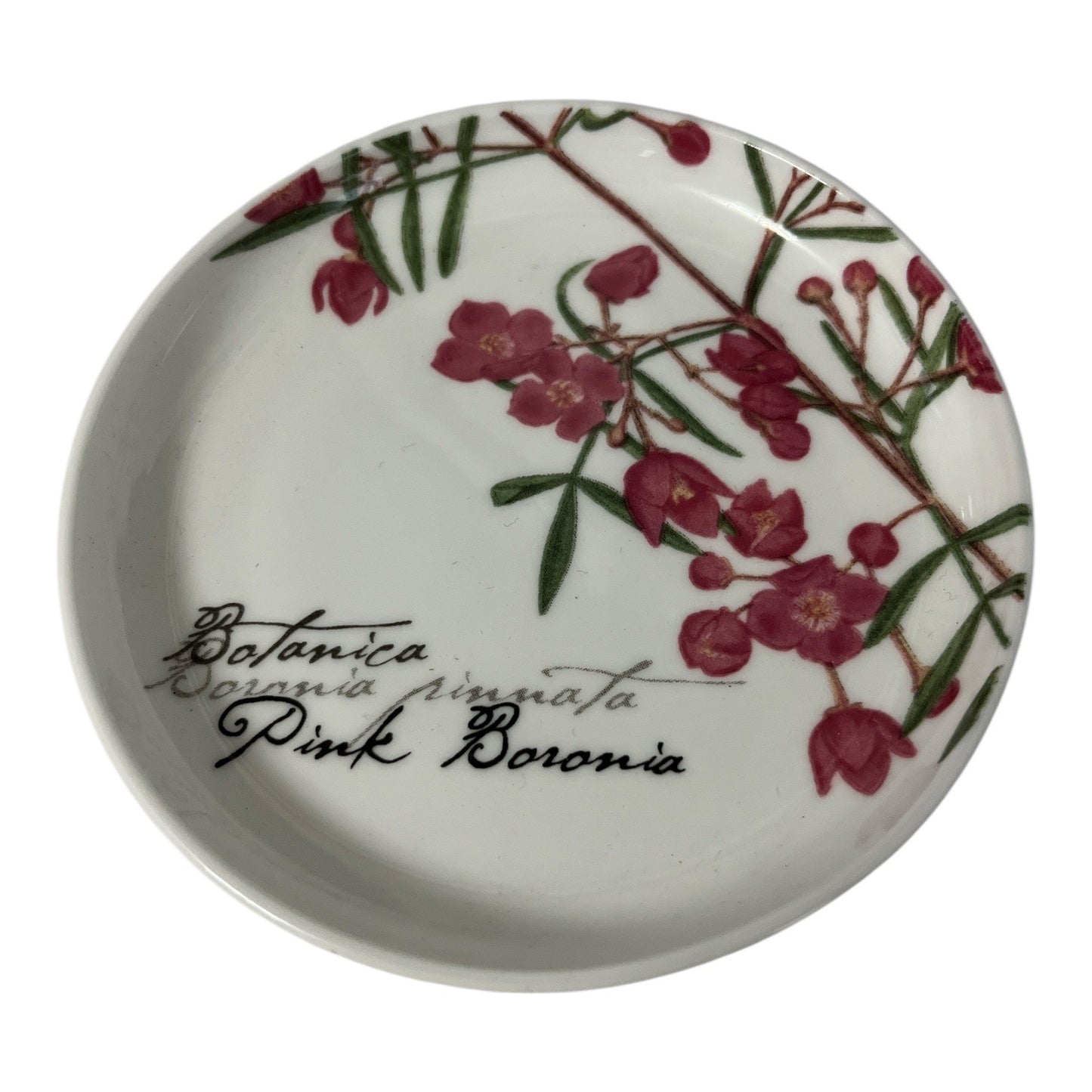 Maxwell & Williams “Pink Boronia” Bone China Plate & Coaster Set – The Gardens Table Collection (2007)