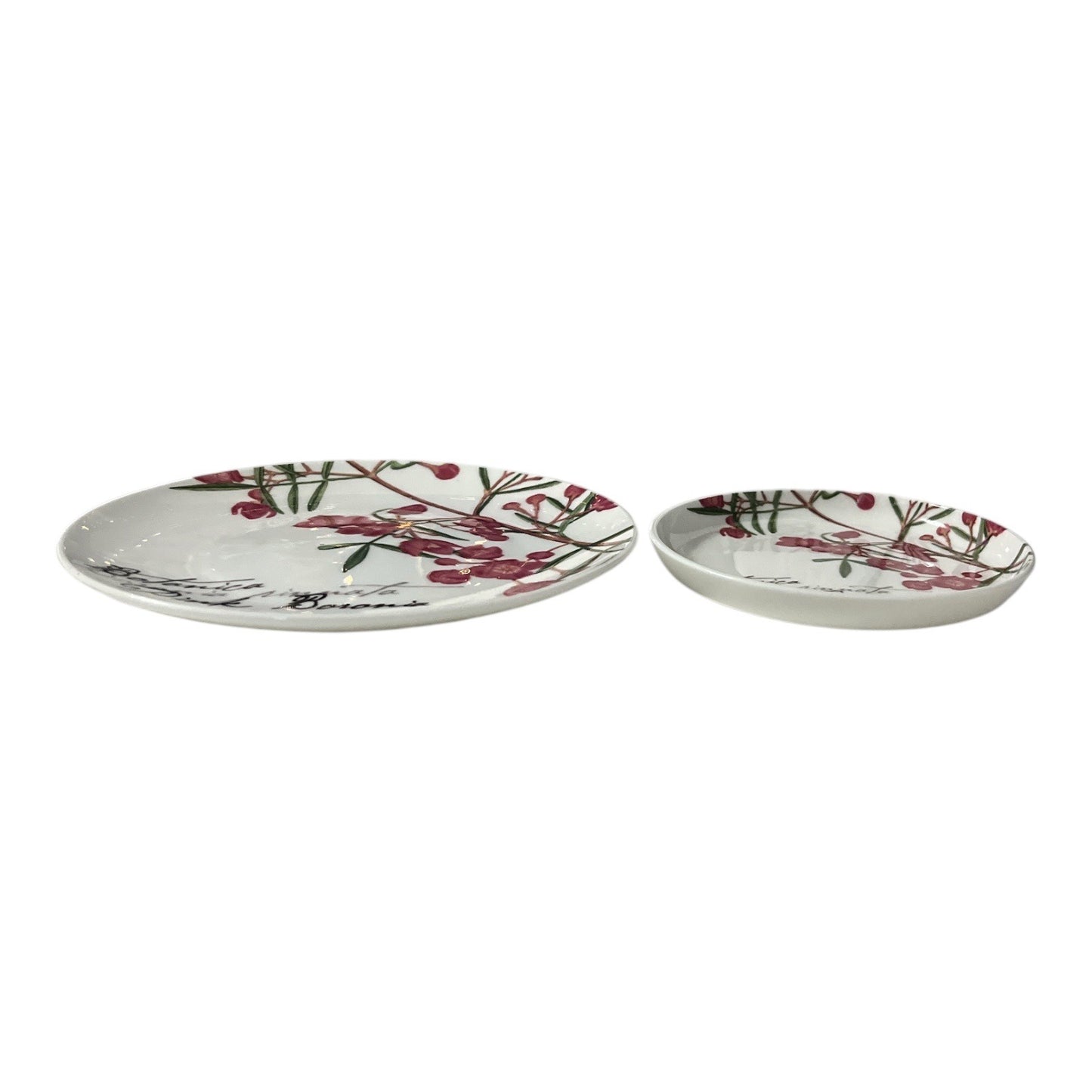 Maxwell & Williams “Pink Boronia” Bone China Plate & Coaster Set – The Gardens Table Collection (2007)
