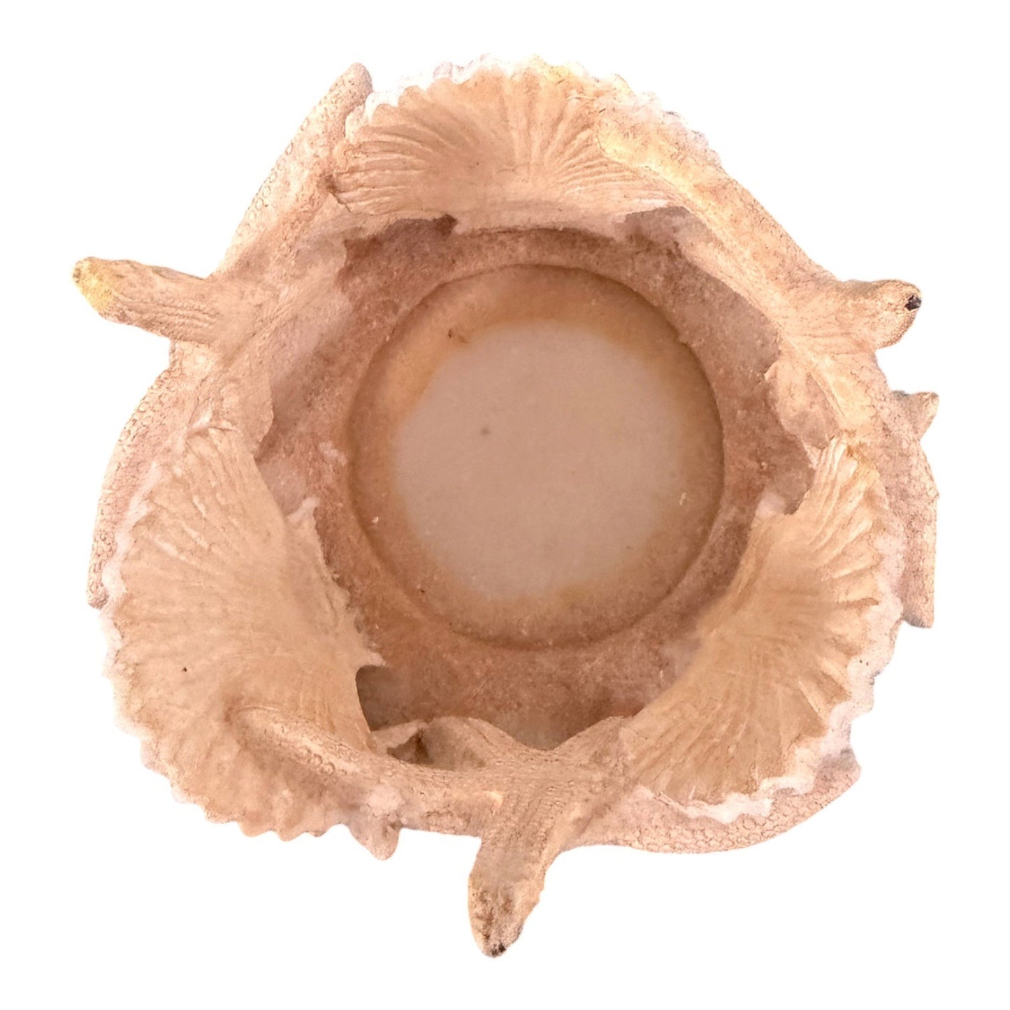 Yankee Candle Coastal Starfish Seashell Tealight Holder Beach Nautical Decor