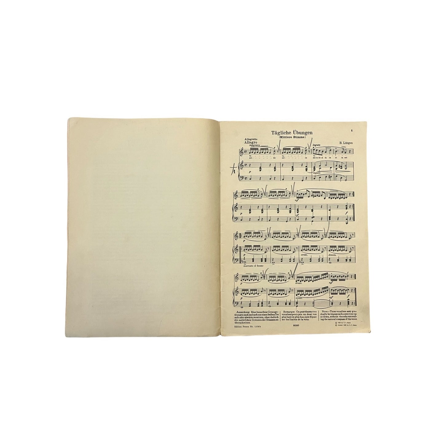 Vintage Lütgen Vocal Exercises Sheet Music Book Edition Peters Mezzo Soprano Baritone