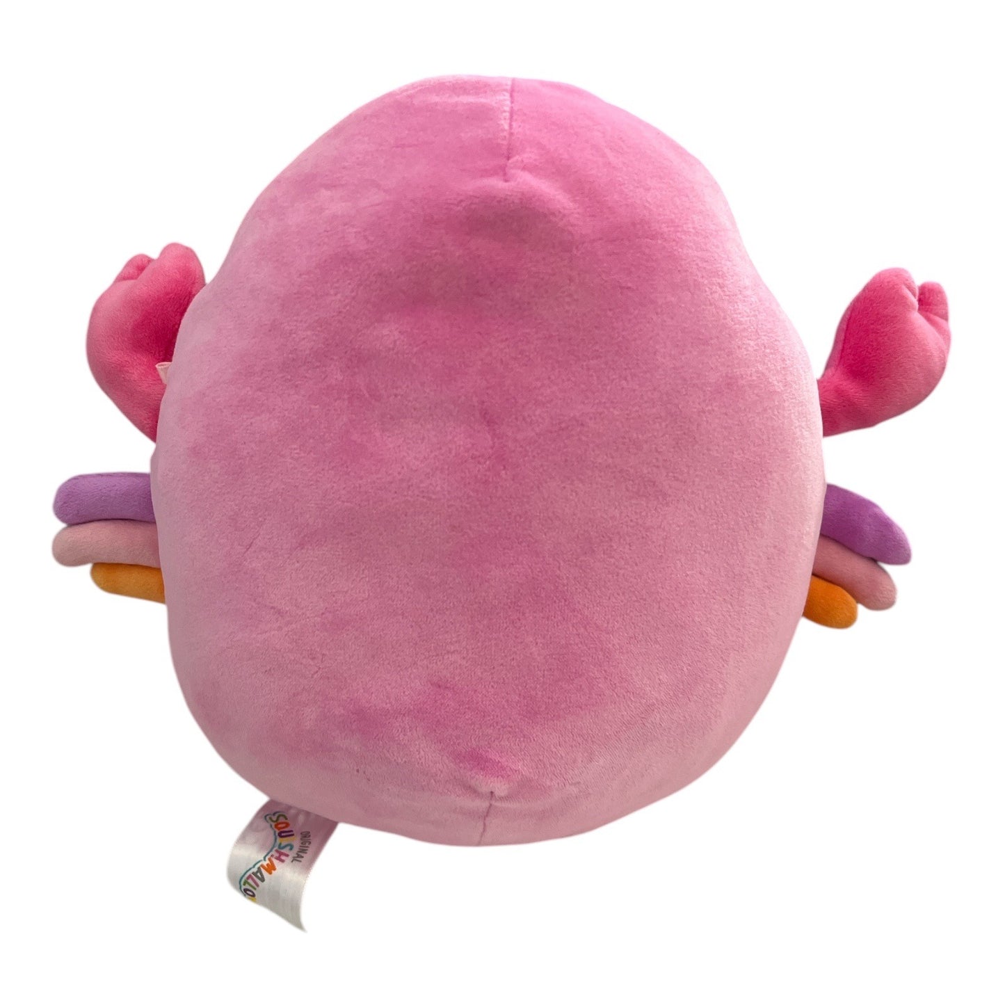 Squishmallow – Cailey the Crab – 7.5” Plush